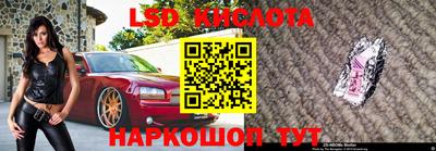мяу мяу мука Краснознаменск