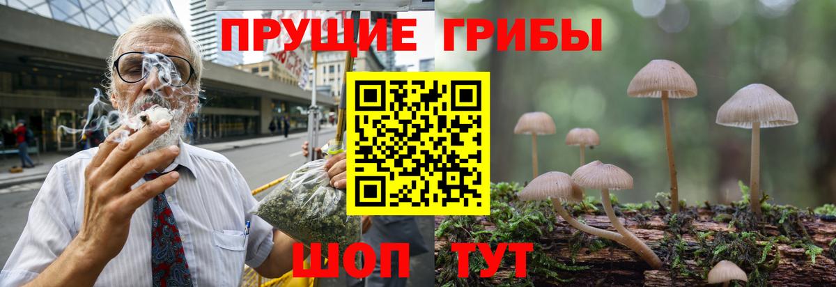 Псилоцибиновые грибы Psilocybe  Вход с VPN  Кировск 